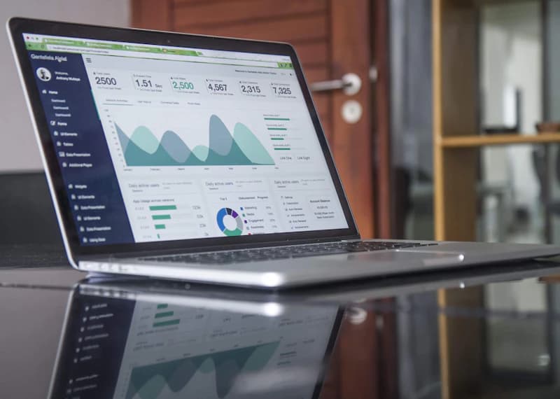 Web-Applikation Entwicklung — Dashboard und Analytics-Oberfläche für SEO Agentur Rügen